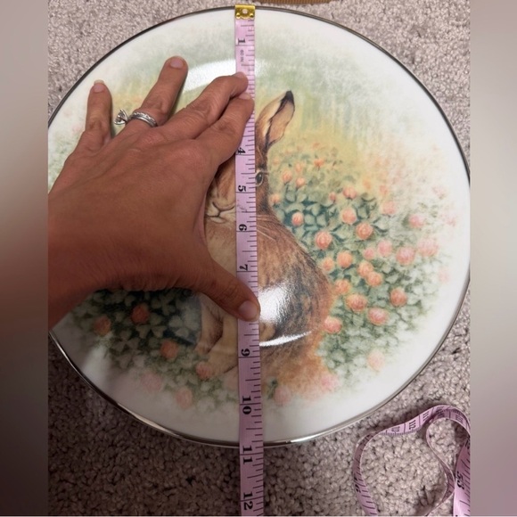 Pottery Barn Easter Rabbit
Dinner Plates
Set of Four Cottagecore
Shabby chic - Picture 5 of 5